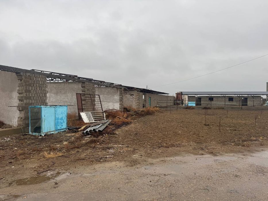 Ferma 1 gektar chinoz tumani