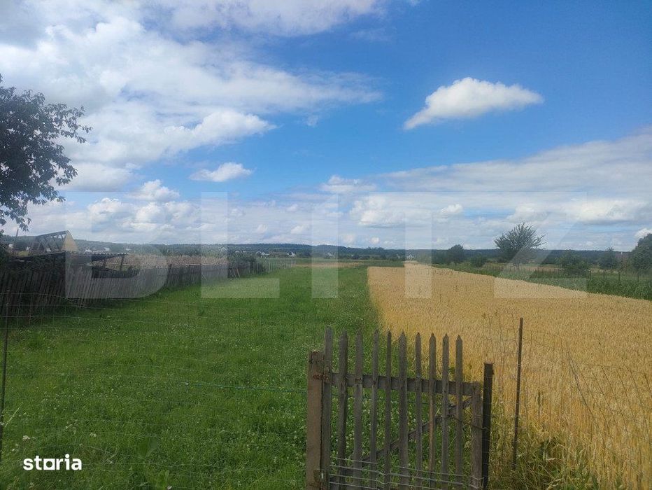 Teren intravilan la sosea, 6400 mp, Vicov de Sus