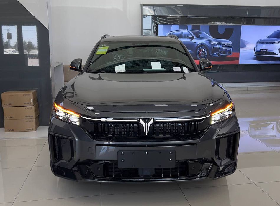 VOYAH free apollo tech 318/2025