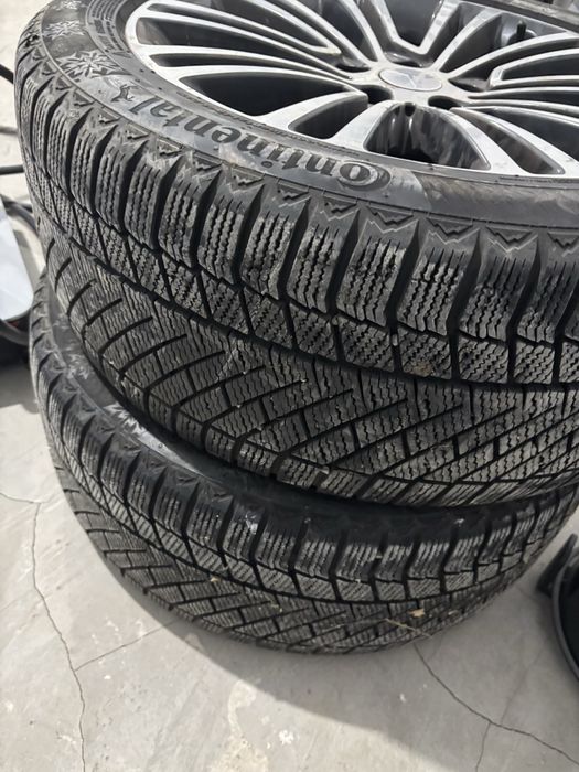 титанка с покрыжкой