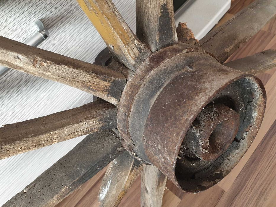 Естествено остаряло колело от волска каруца