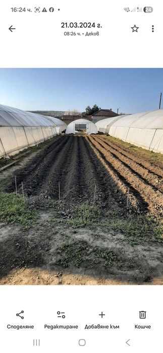 ПРОДАВАМ/ОТДАВАМ  ФЕРМА -зеленчуци,орънжерии инфраструктора