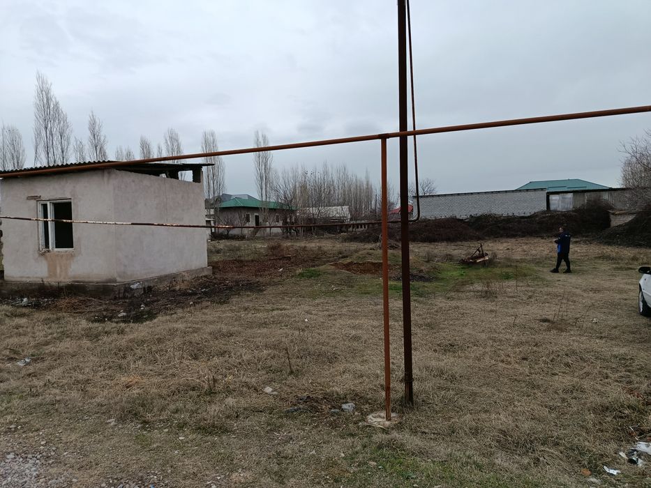 Уй чотилади 15 сотих