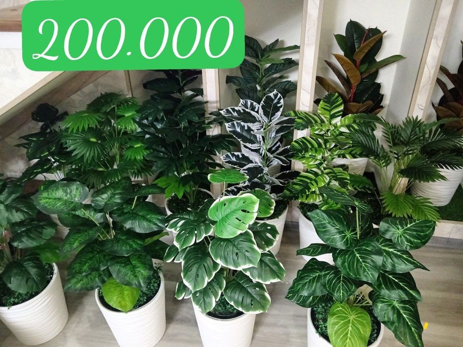 Суний гуллар ва дарахтлар Искусственные деревья и растения