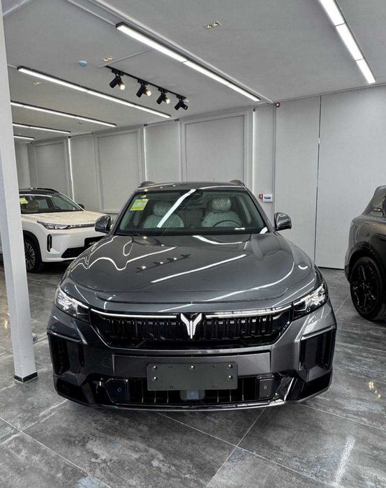 voyah fre maslo rasrochka varianti