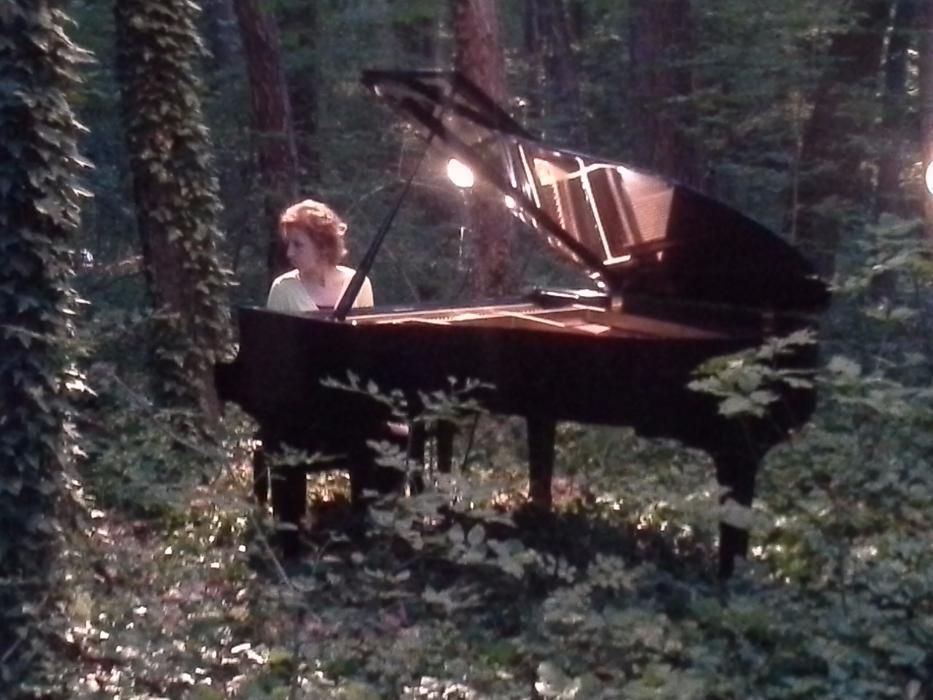 Наем на роял, рояли