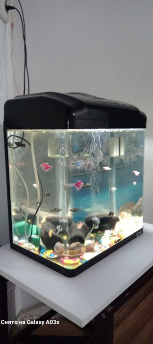 Заводской акварюм 50 тысяч