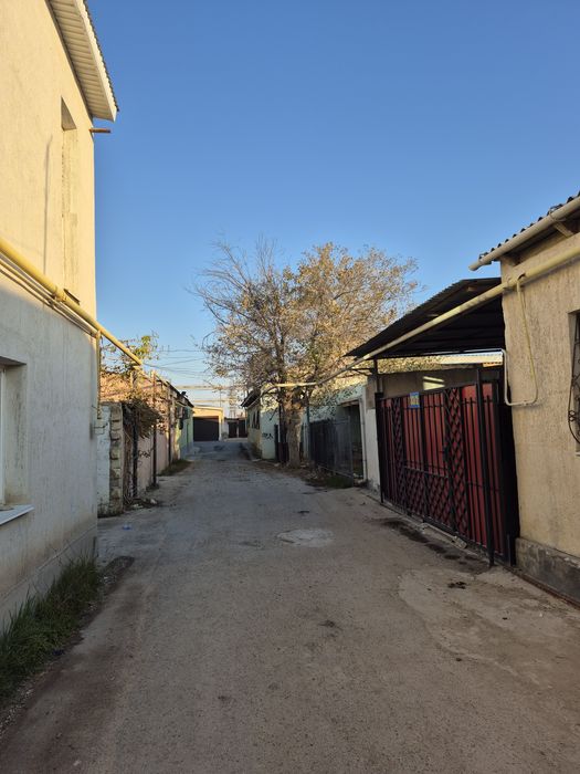 Отдам на дрова два дерева карагач