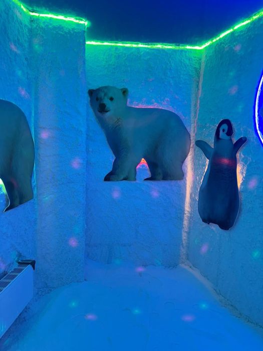 Солевая шахта.Тұзды шахта