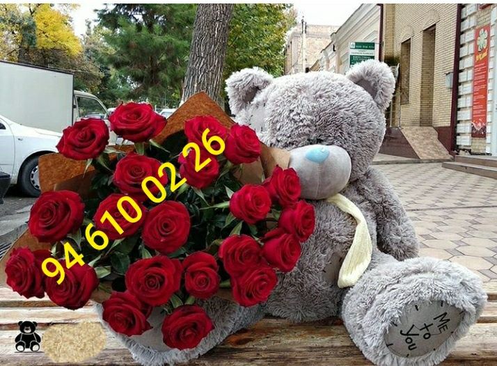 Teddy Teddi teddy teddi xammasi orginal sovg'a un