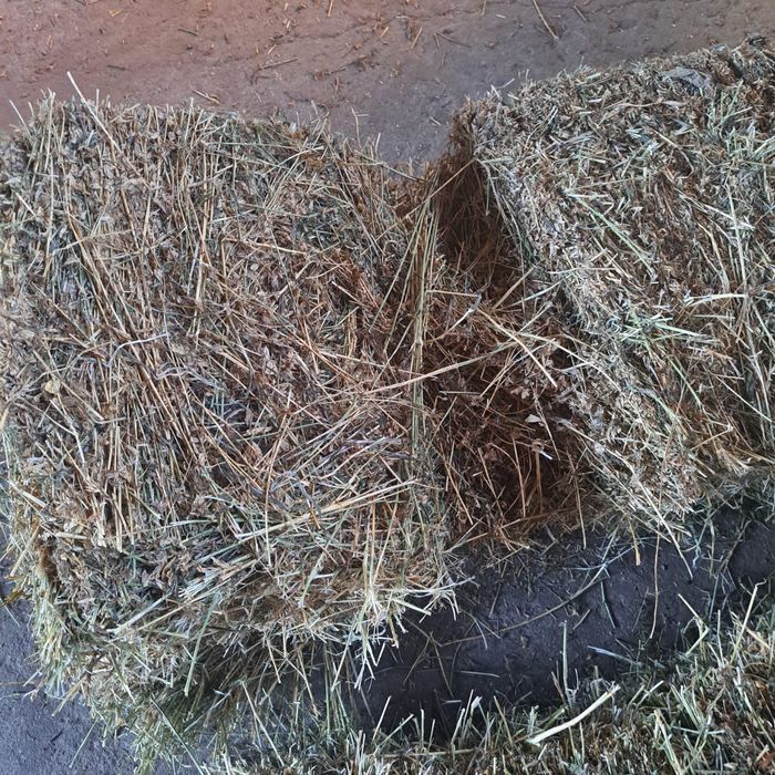 Vand baloti de lucerna