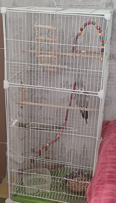 Продам клетку  для птиц Б/у