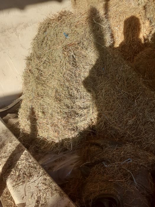 Vând baloti de fan și lucernă