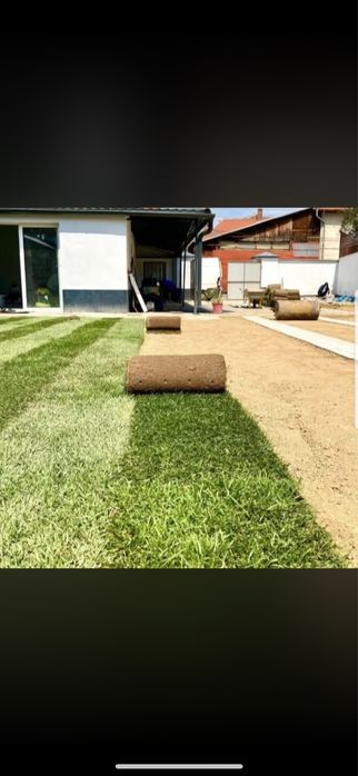 Gazon natural de calitate superioară – soluție rapidă pentru o grădină modernă