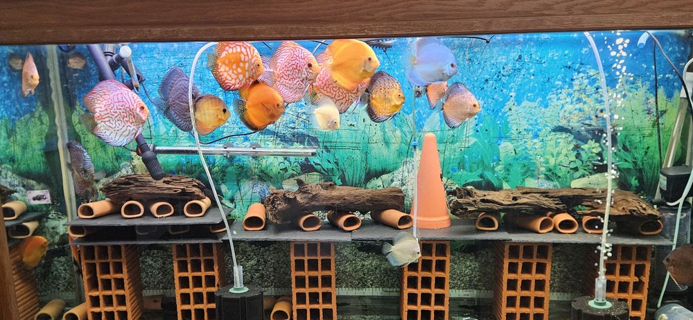 Аквариум 612л + филтри