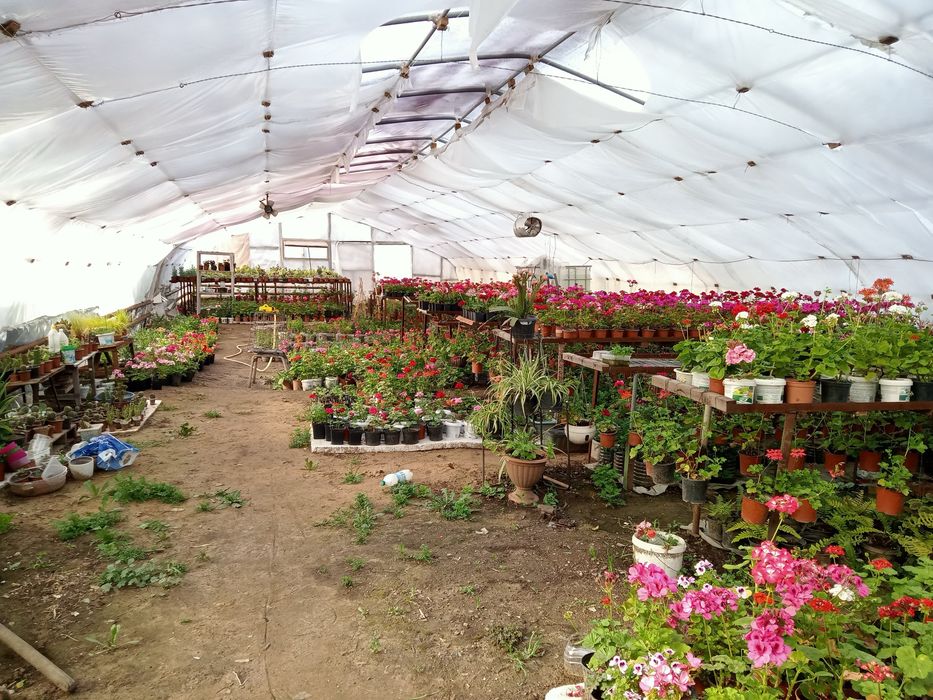 Продам теплицу корейского производства