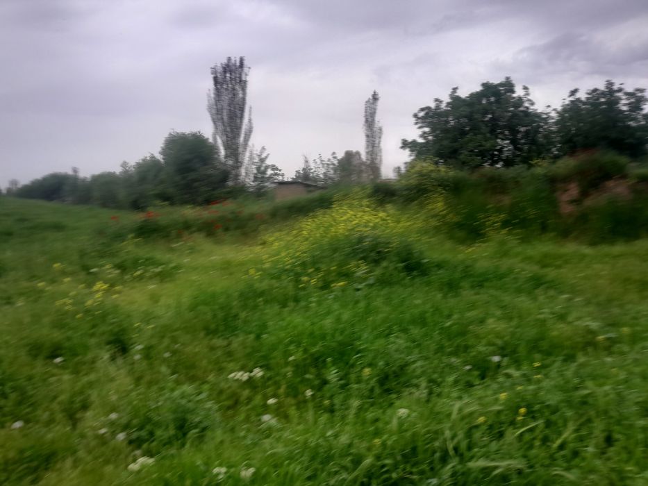 Ер участка сатылады 10 сотуг