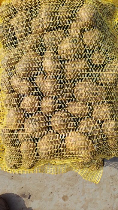 Cartof consum ambalat la plase de 10,15 sau 25 kg