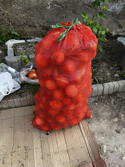 Лук 2 мешка хороших