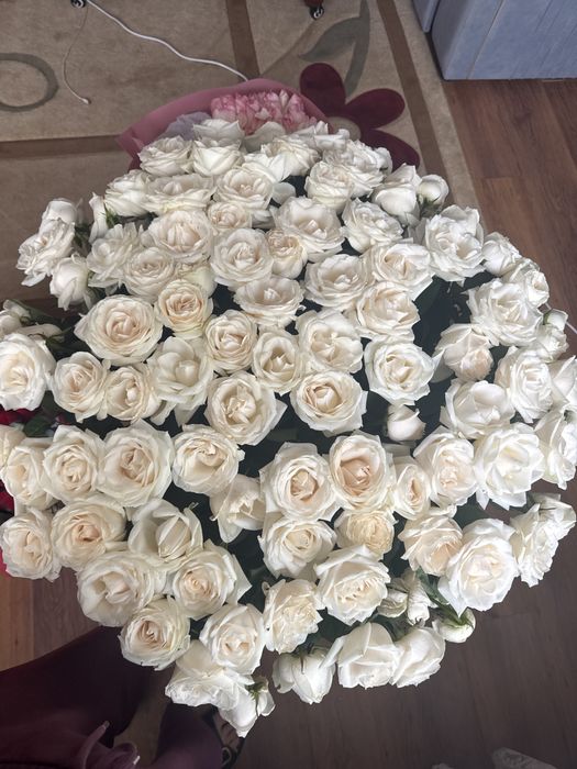 Продам 101 гигантские розы, свежие