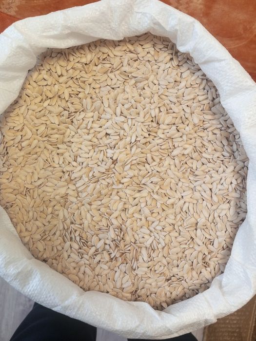 Семена дыни Бакинка высшего сорта