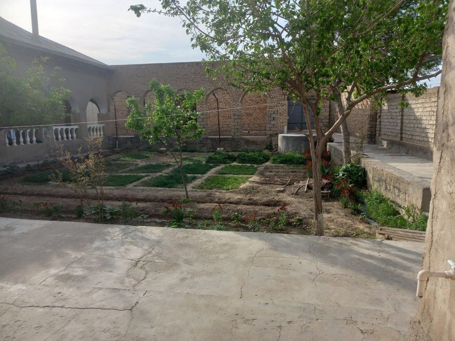 Qarshi shahar arabxona mfy da. Joylashgan