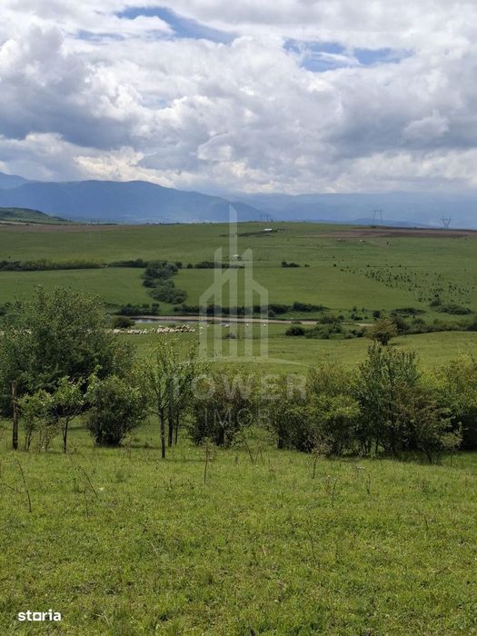De vanzare, teren 11.500 mp – Dealul Dăii,  Vedere panoramică spre mun