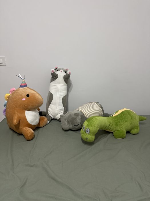 Plus cu paturica ascunsa