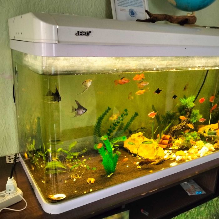 Продается красивый аквариум