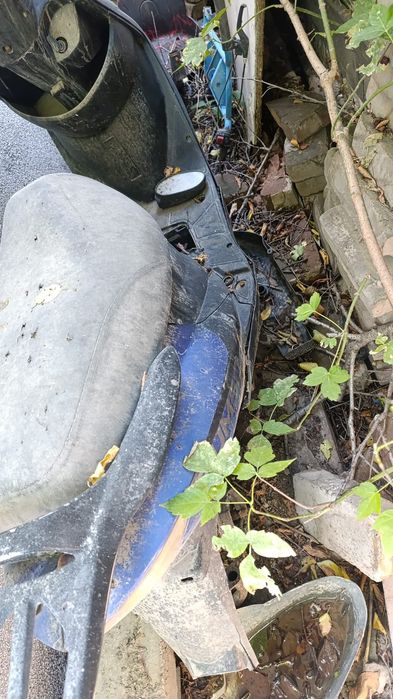 Мопед зум 50 продам