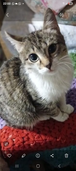 Стерилизованная девочка