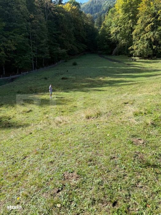 Teren intravilan 28 Ari zona Colibita