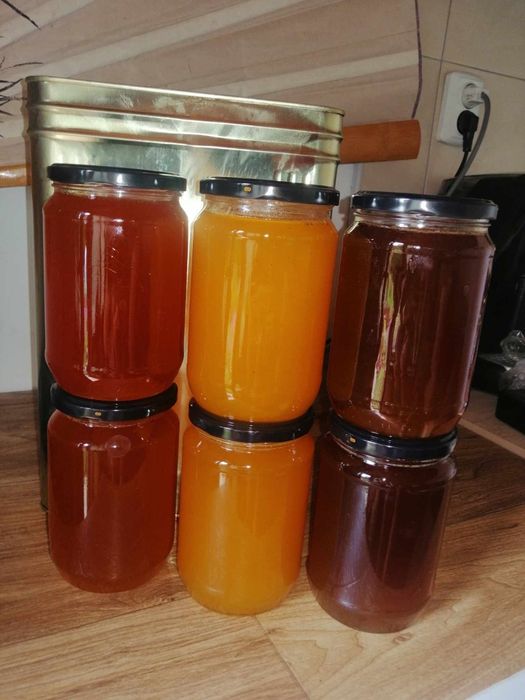 Пчелен мед реколта 2025г.