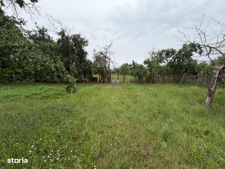 Casa de vanzare 255mp utili, 1974mp teren - Balomir