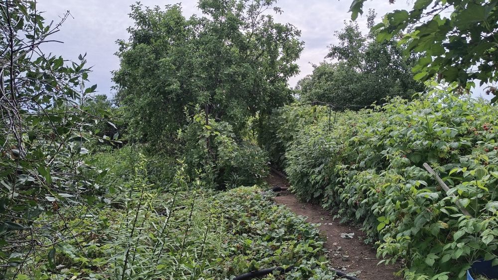 Продам дачу 16соток, город Алга 22 коллектив