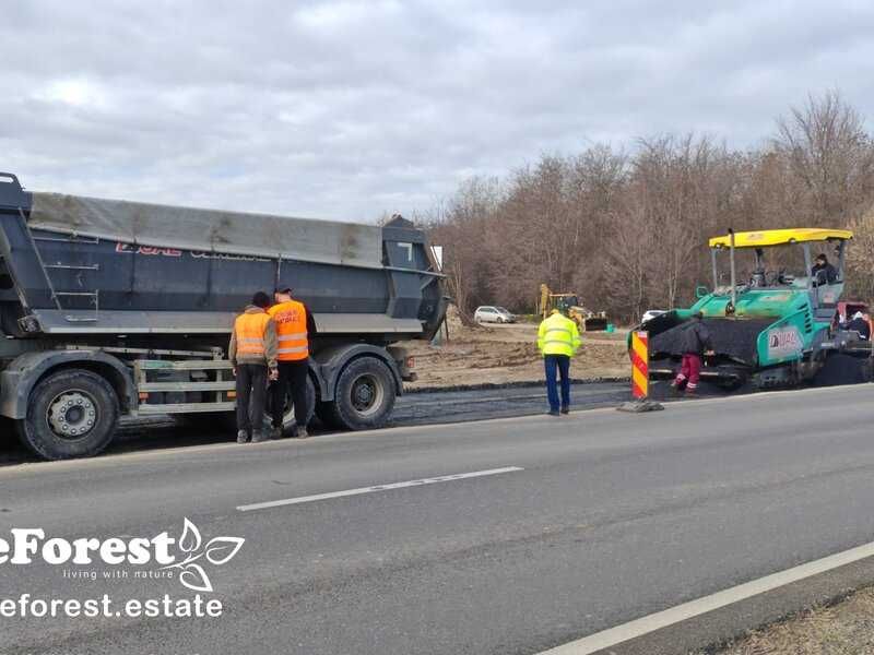 eForest - Loturi de casă între păduri, iluminat, străzi amenajate