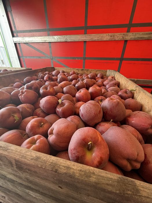 Mere De Polonia de Vânzare orice soi Calitate Extra Lux si Pret