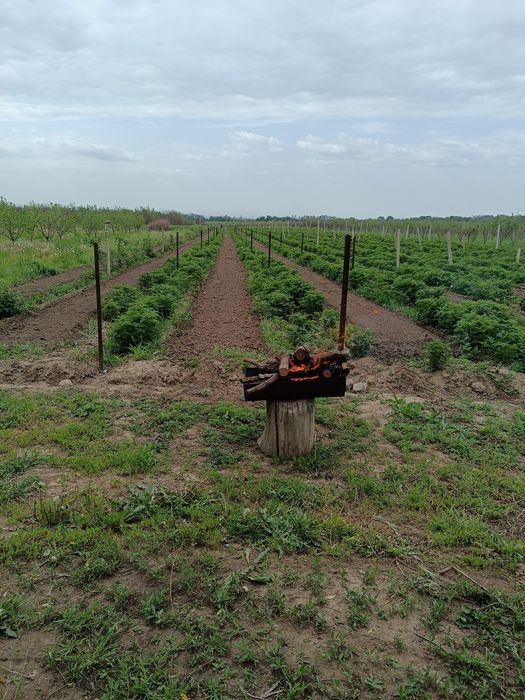 Продам Землю кха