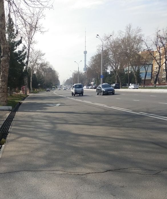 (Срочно) (сена за сотка) 1 линия Юнусабад Проспект Амир Темур шох куча