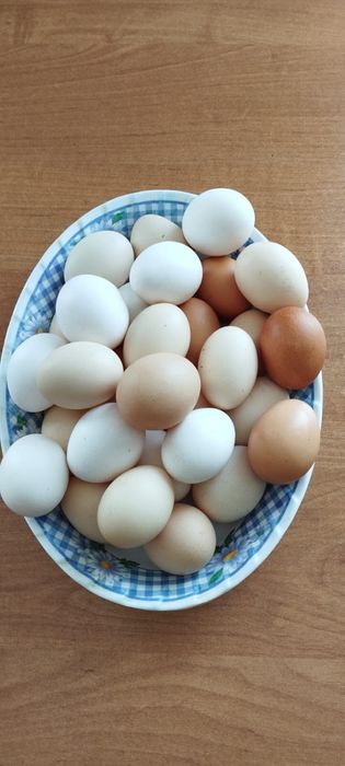 Продам домашние яйца