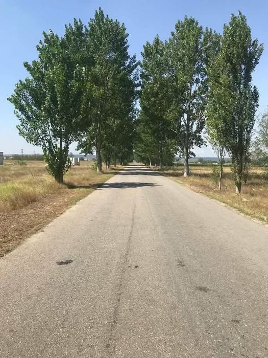 Teren de vanzare la Geormane