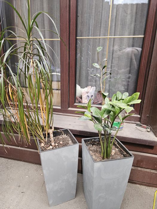 Продам мебель, мини диванчик, ночник ручной работы, цветы домашние.