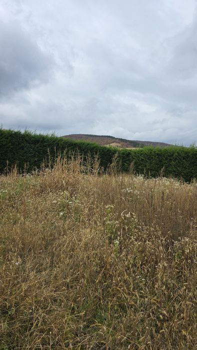 Vand teren intravilan 480 m2  Micesti Tarnita