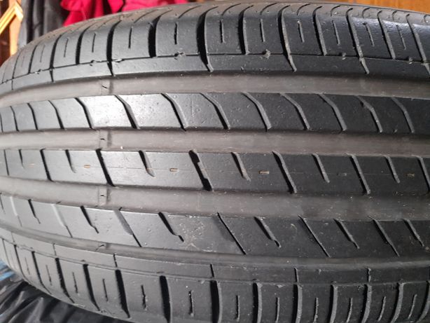 Zmax tire zealion