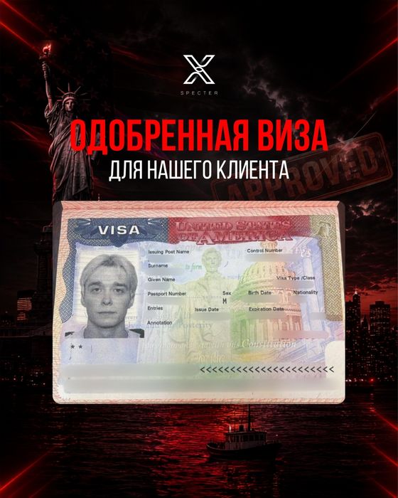 Виза в США B1 B2 F1
