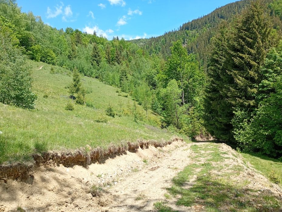 Vând casă Horea   .