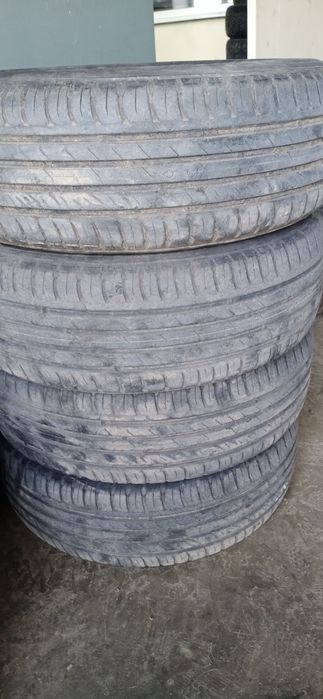 Летняя резина nokian