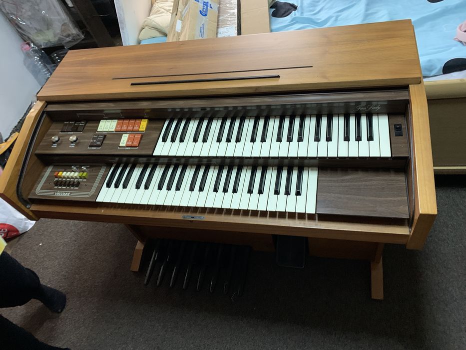 Orga electrica in stare impecabila, ca noua