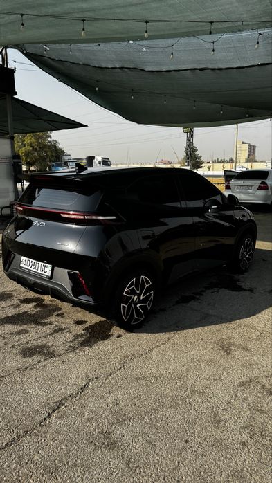 Byd seagull qora 2024/2025