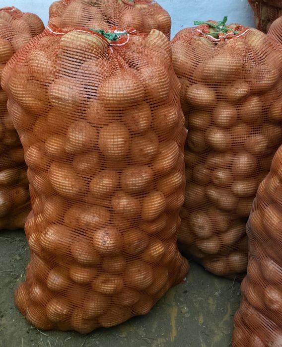 Картофель домашняя